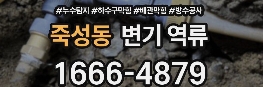 죽성동 변기 역류