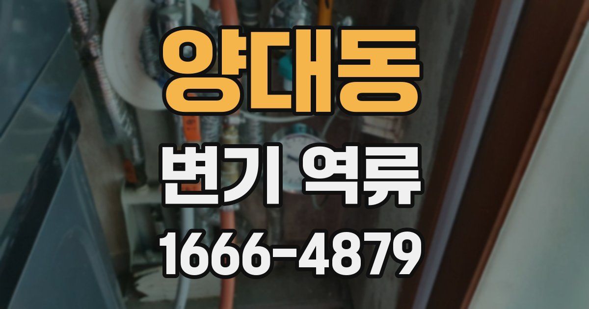 양대동 변기 역류