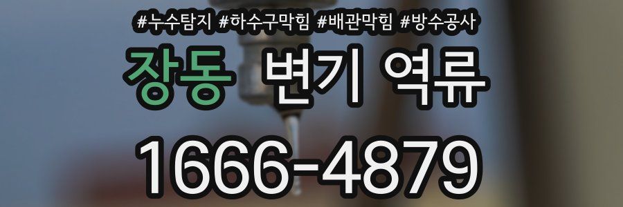 장동 변기 역류
