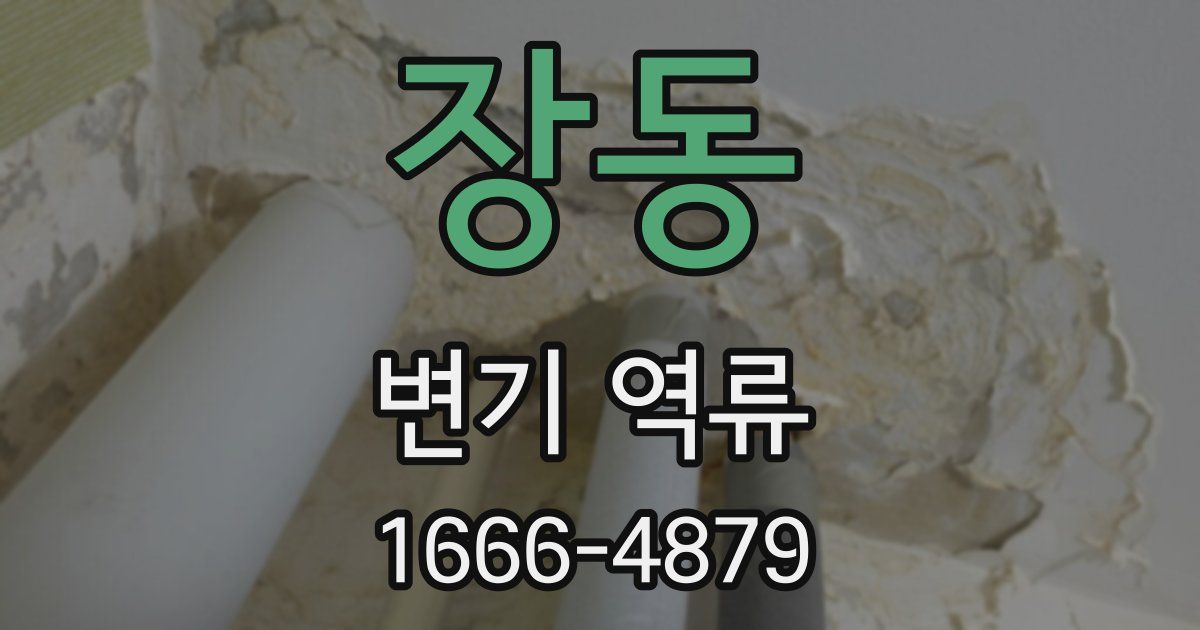 장동 변기 역류