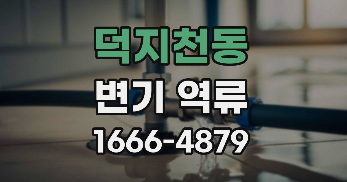 덕지천동 변기 역류