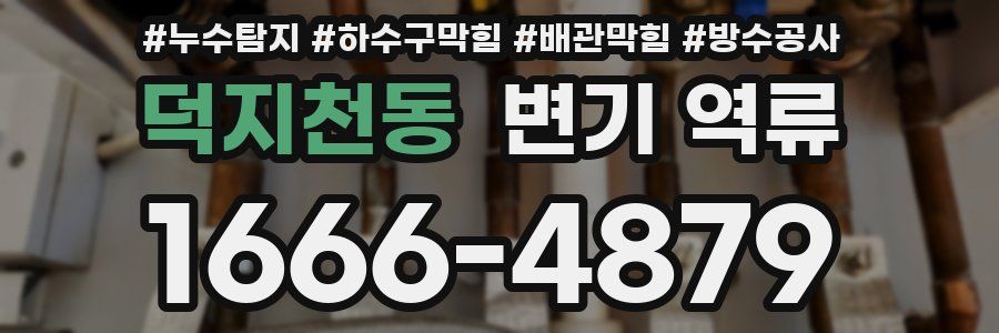 덕지천동 변기 역류