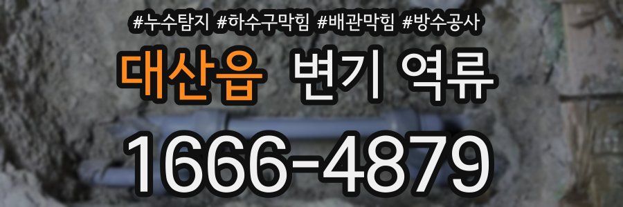 대산읍 변기 역류