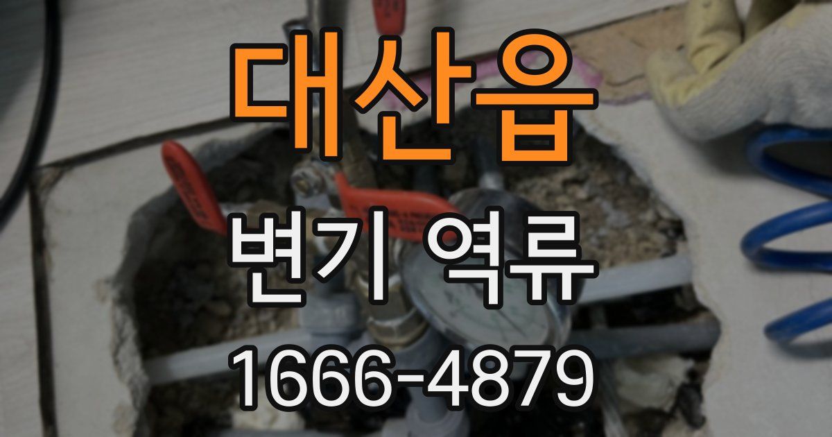 대산읍 변기 역류