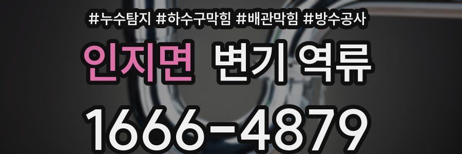 인지면 변기 역류
