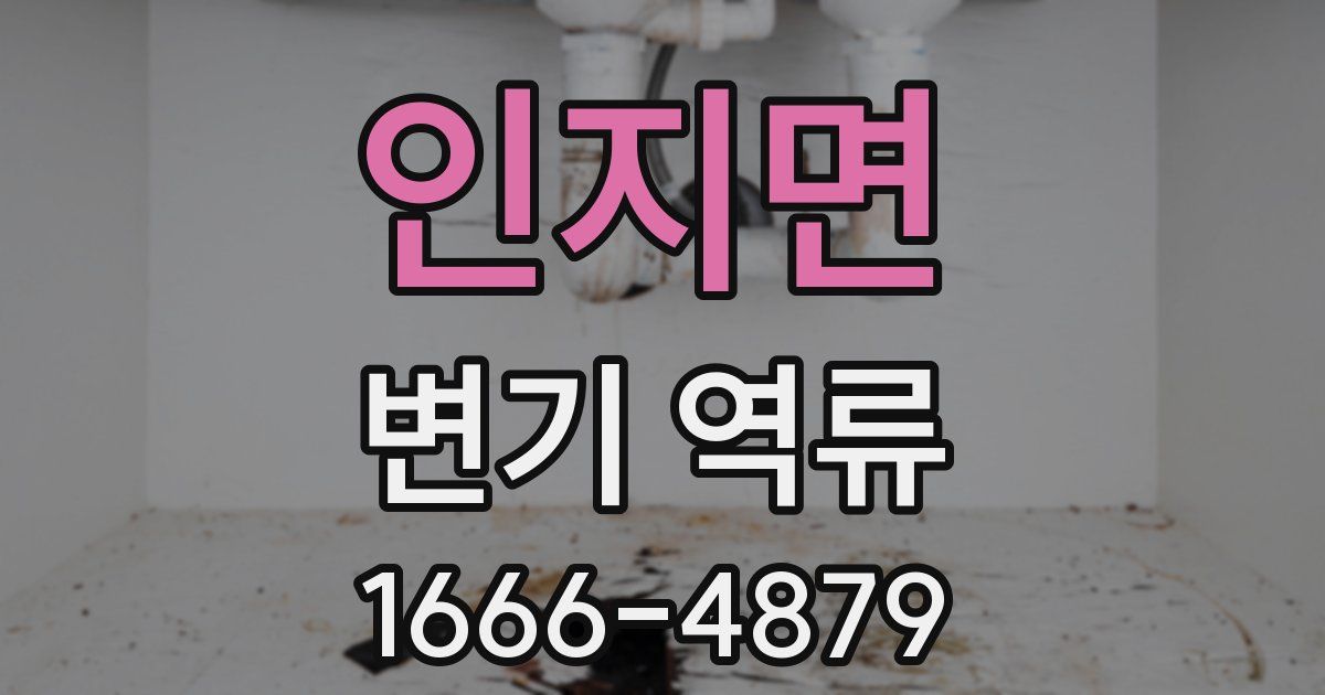인지면 변기 역류