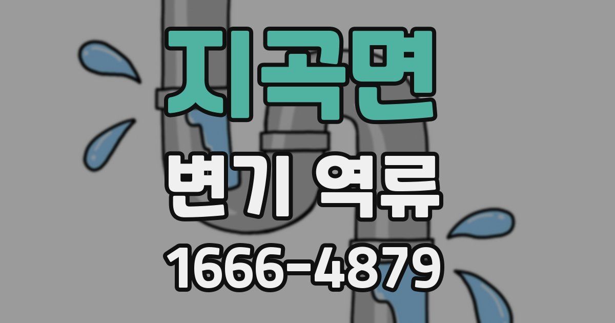 지곡면 변기 역류