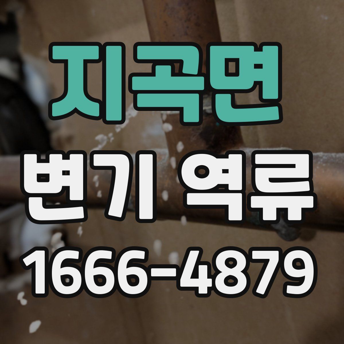 지곡면 변기 역류