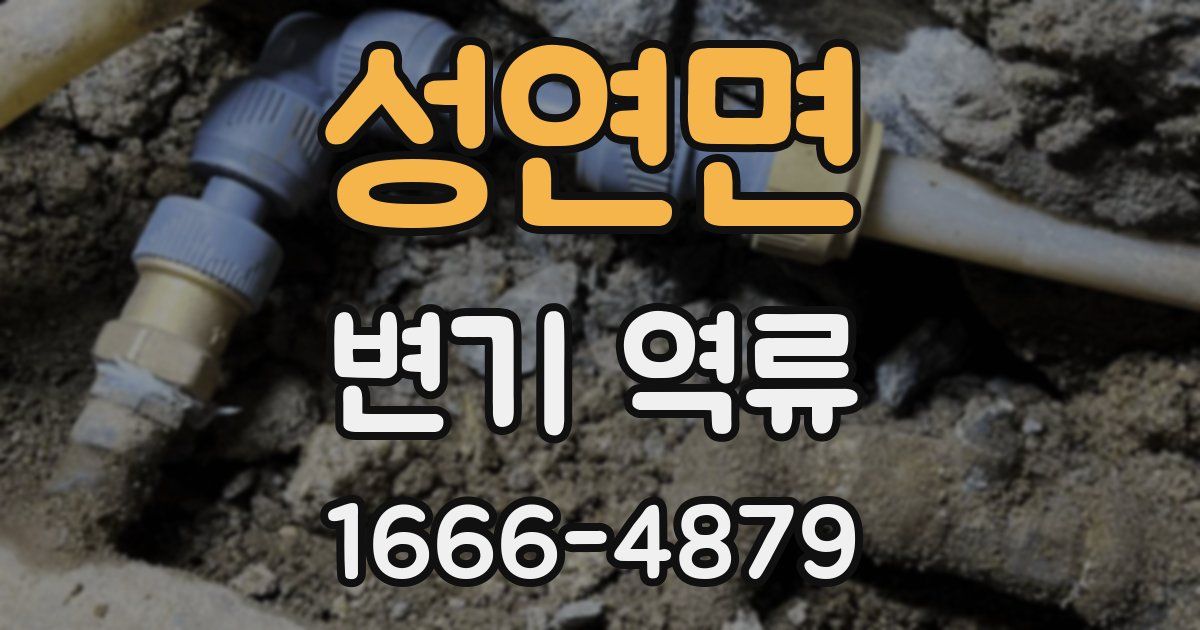 성연면 변기 역류