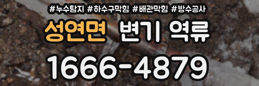 성연면 변기 역류