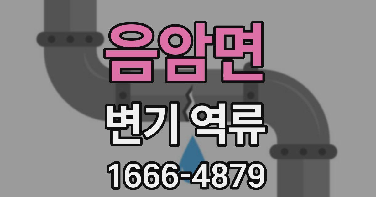 음암면 변기 역류