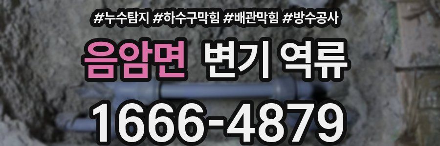 음암면 변기 역류