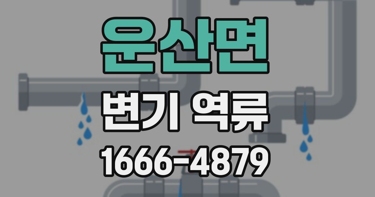운산면 변기 역류