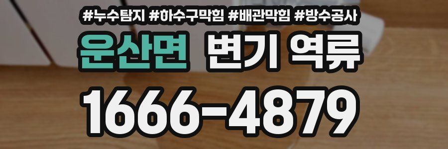 운산면 변기 역류