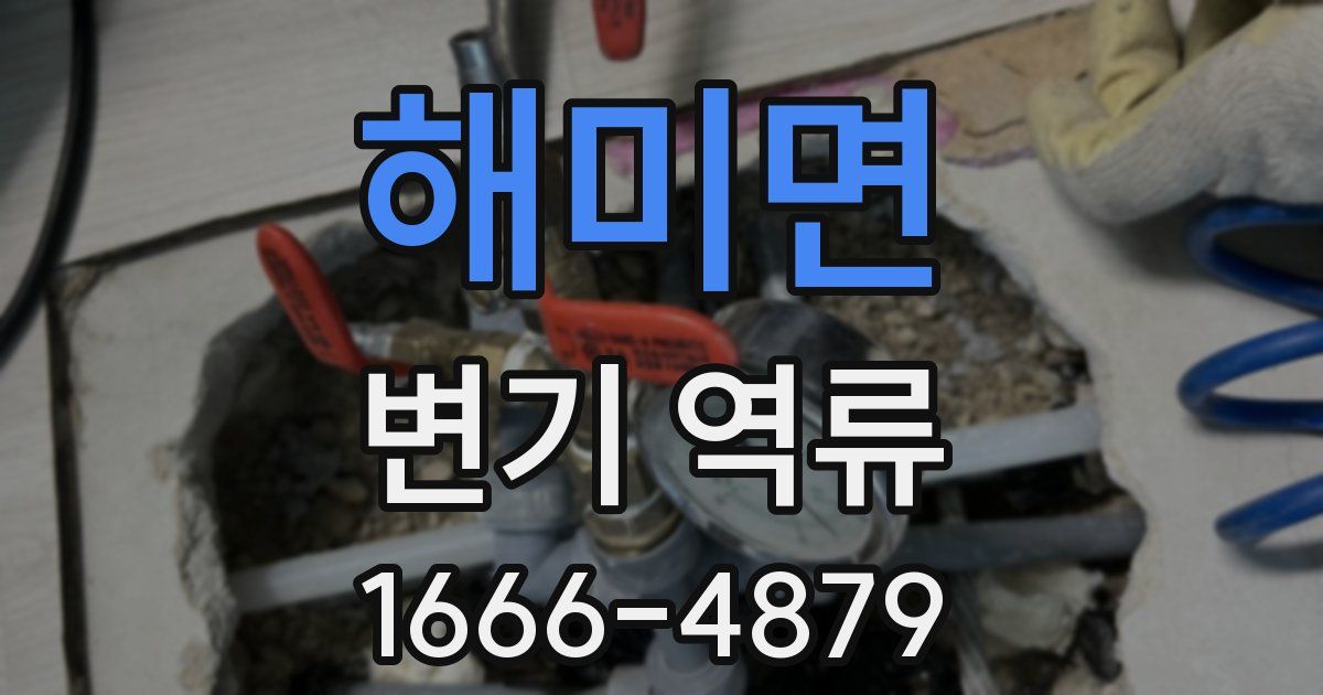 해미면 변기 역류