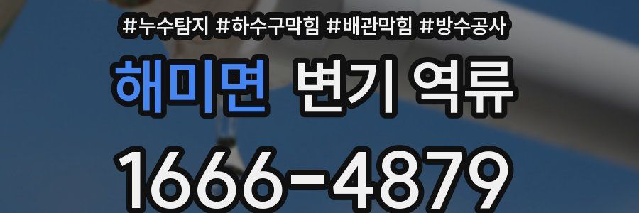 해미면 변기 역류