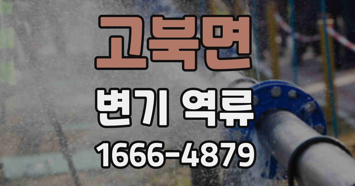 고북면 변기 역류