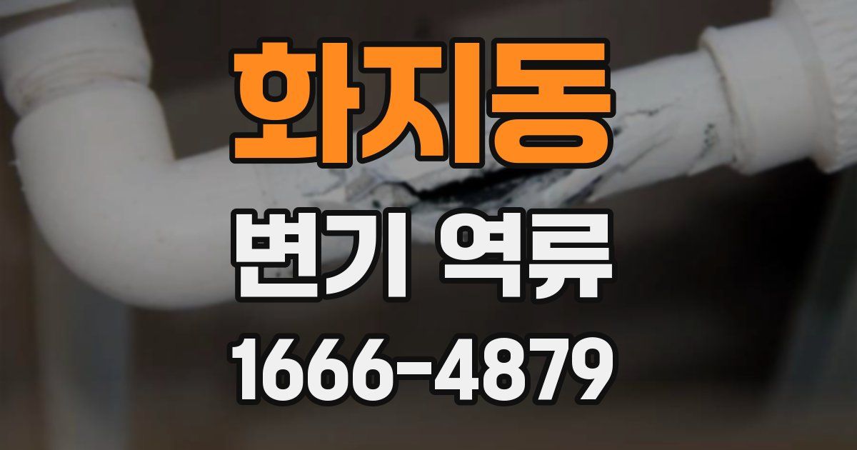 화지동 변기 역류