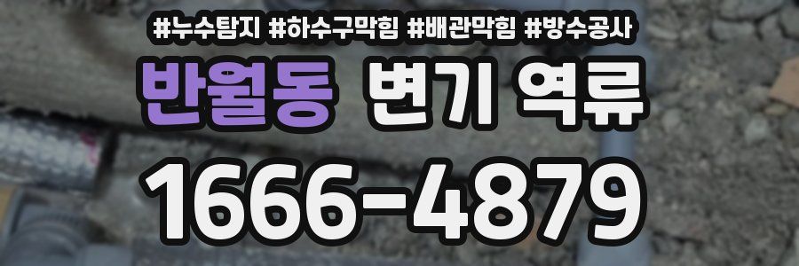 반월동 변기 역류