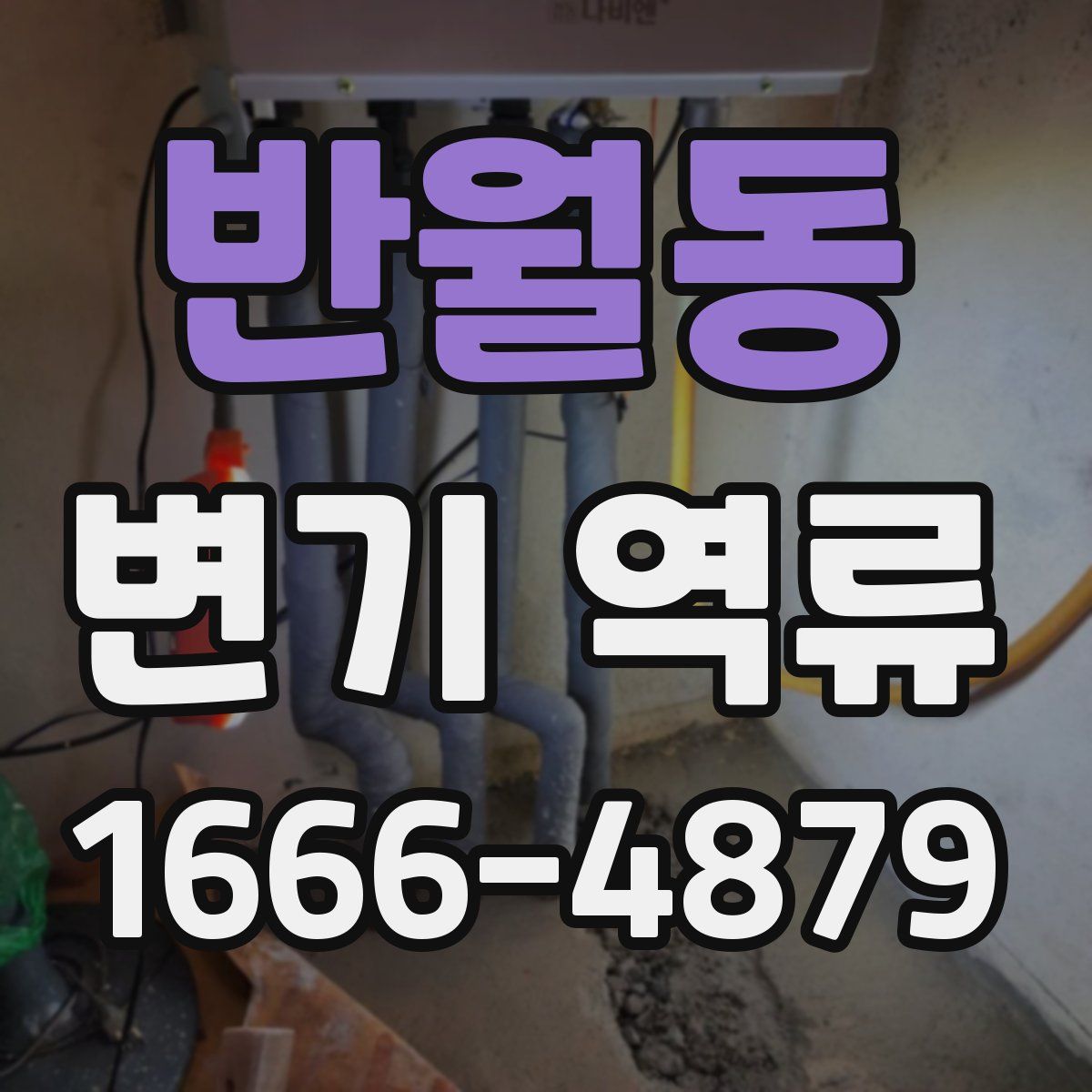 반월동 변기 역류