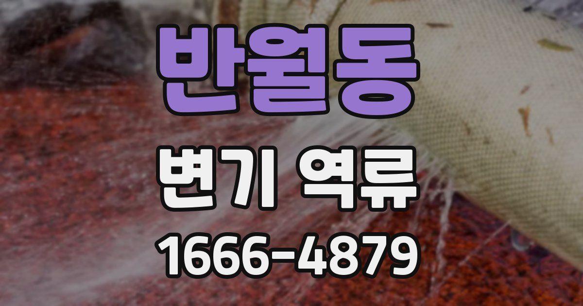 반월동 변기 역류