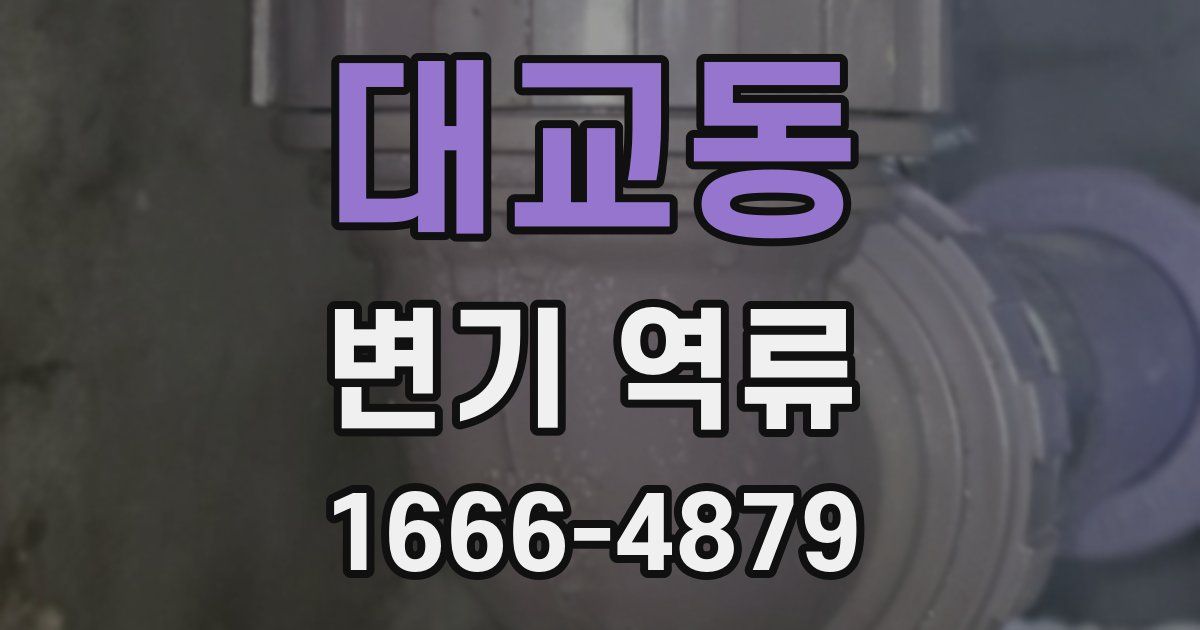 대교동 변기 역류
