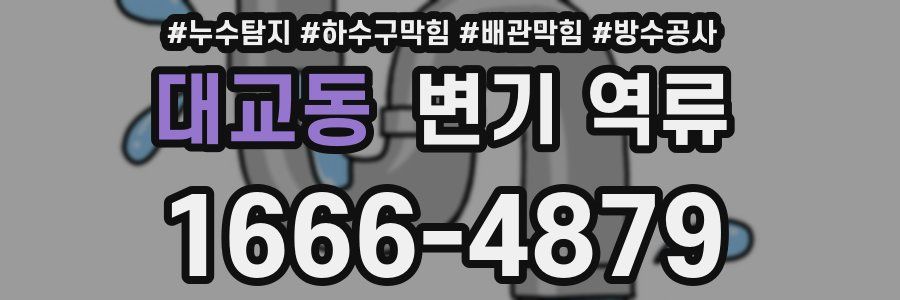 대교동 변기 역류