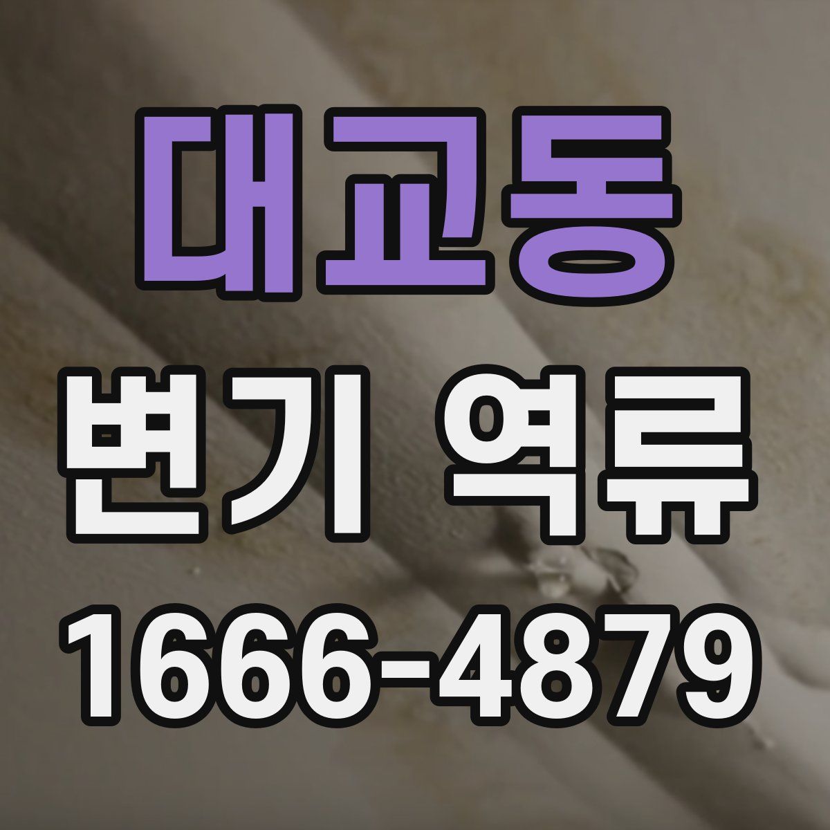 대교동 변기 역류