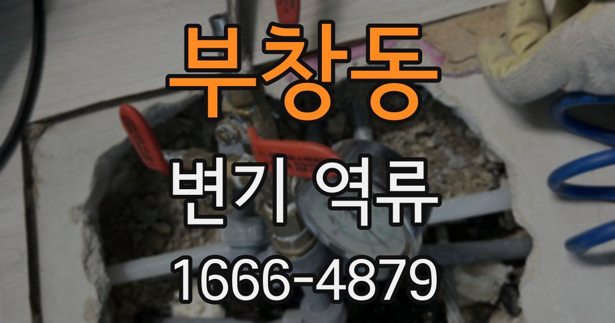부창동 변기 역류