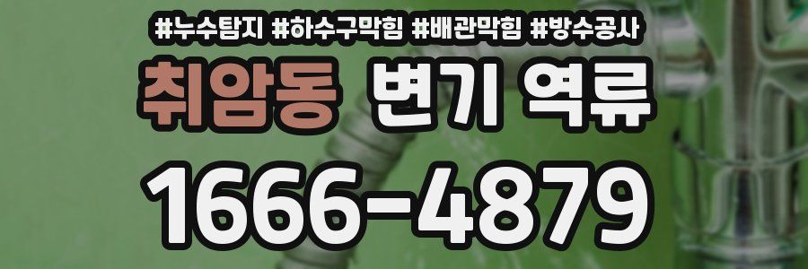 취암동 변기 역류