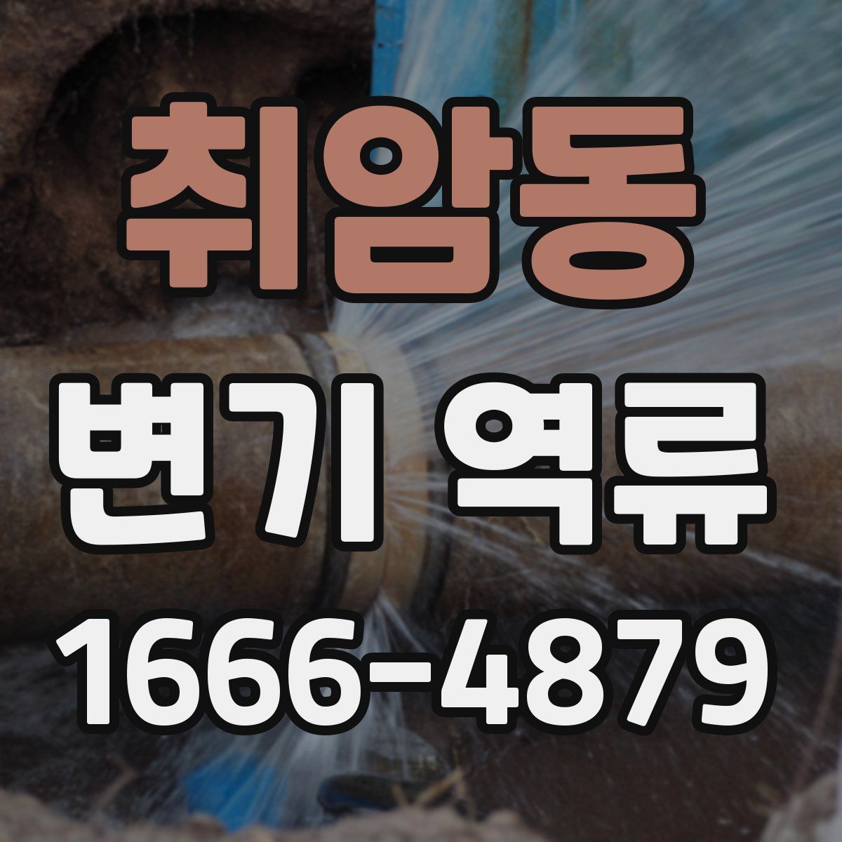 취암동 변기 역류