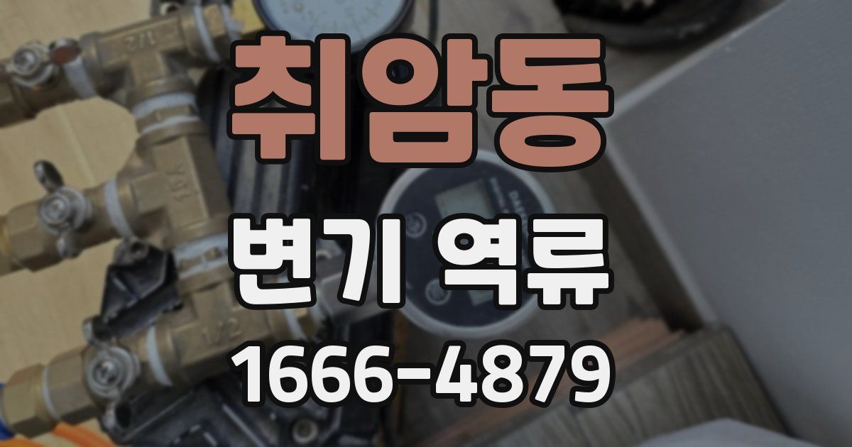 취암동 변기 역류