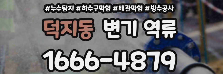 덕지동 변기 역류