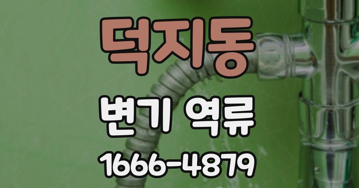 덕지동 변기 역류