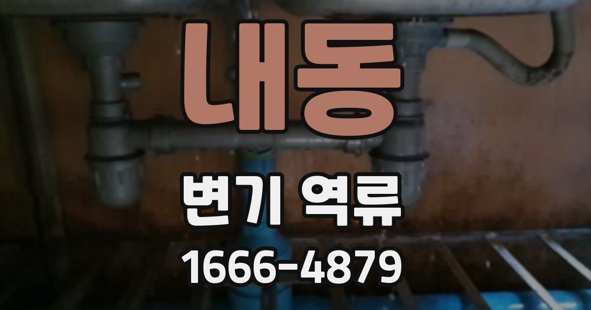 내동 변기 역류