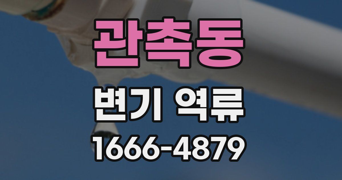 관촉동 변기 역류