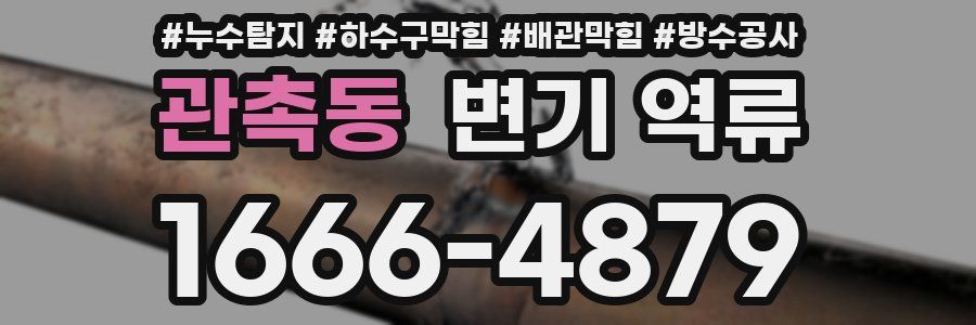 관촉동 변기 역류