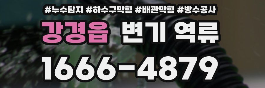 강경읍 변기 역류