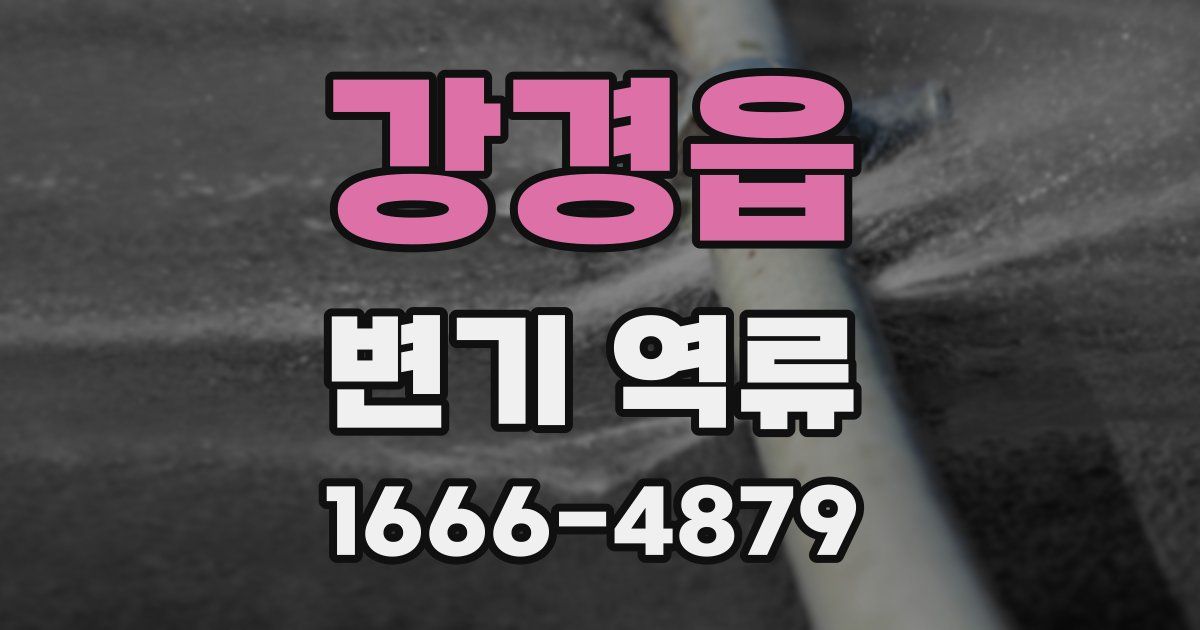 강경읍 변기 역류