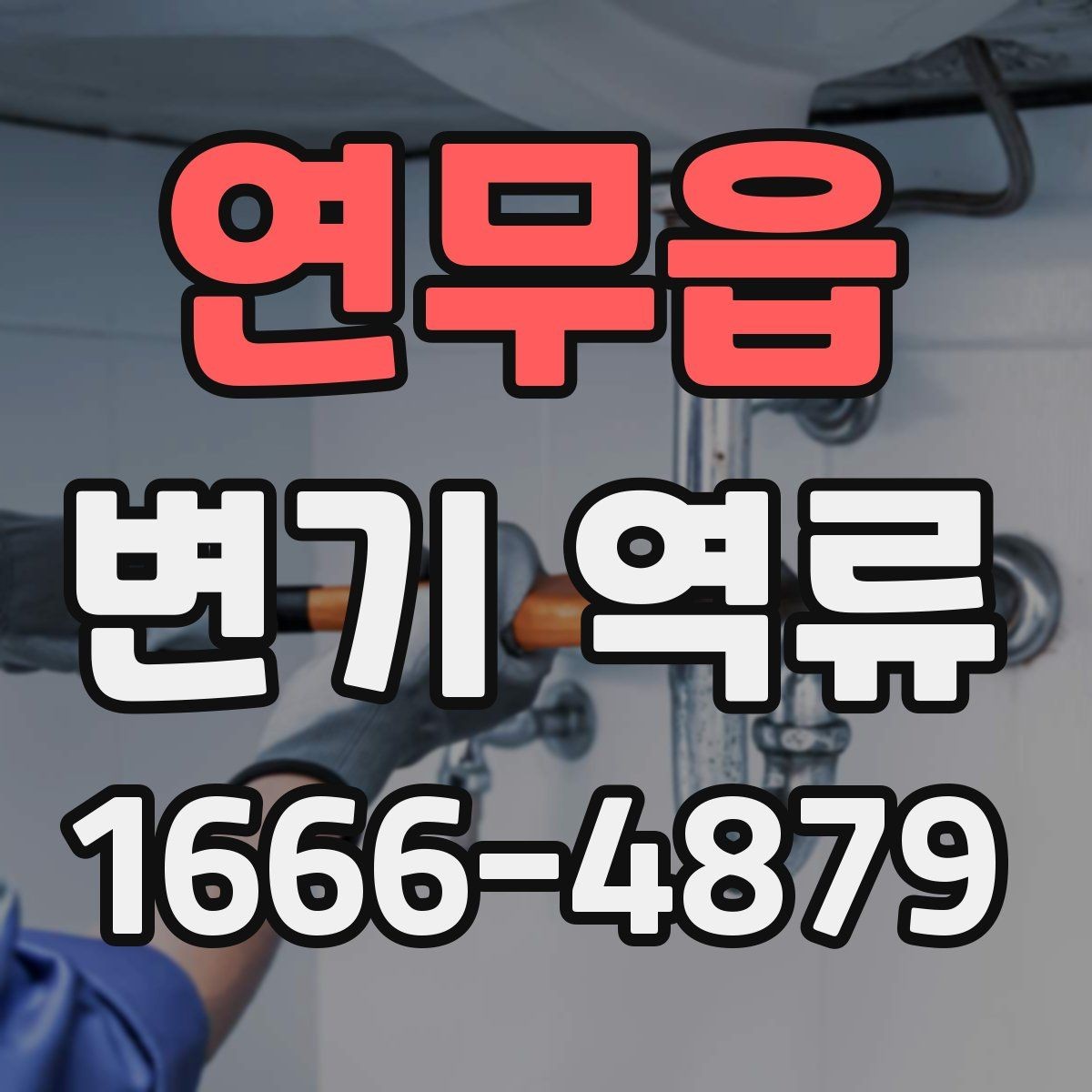 연무읍 변기 역류 화장실 배수 문제를 구별하는 기준