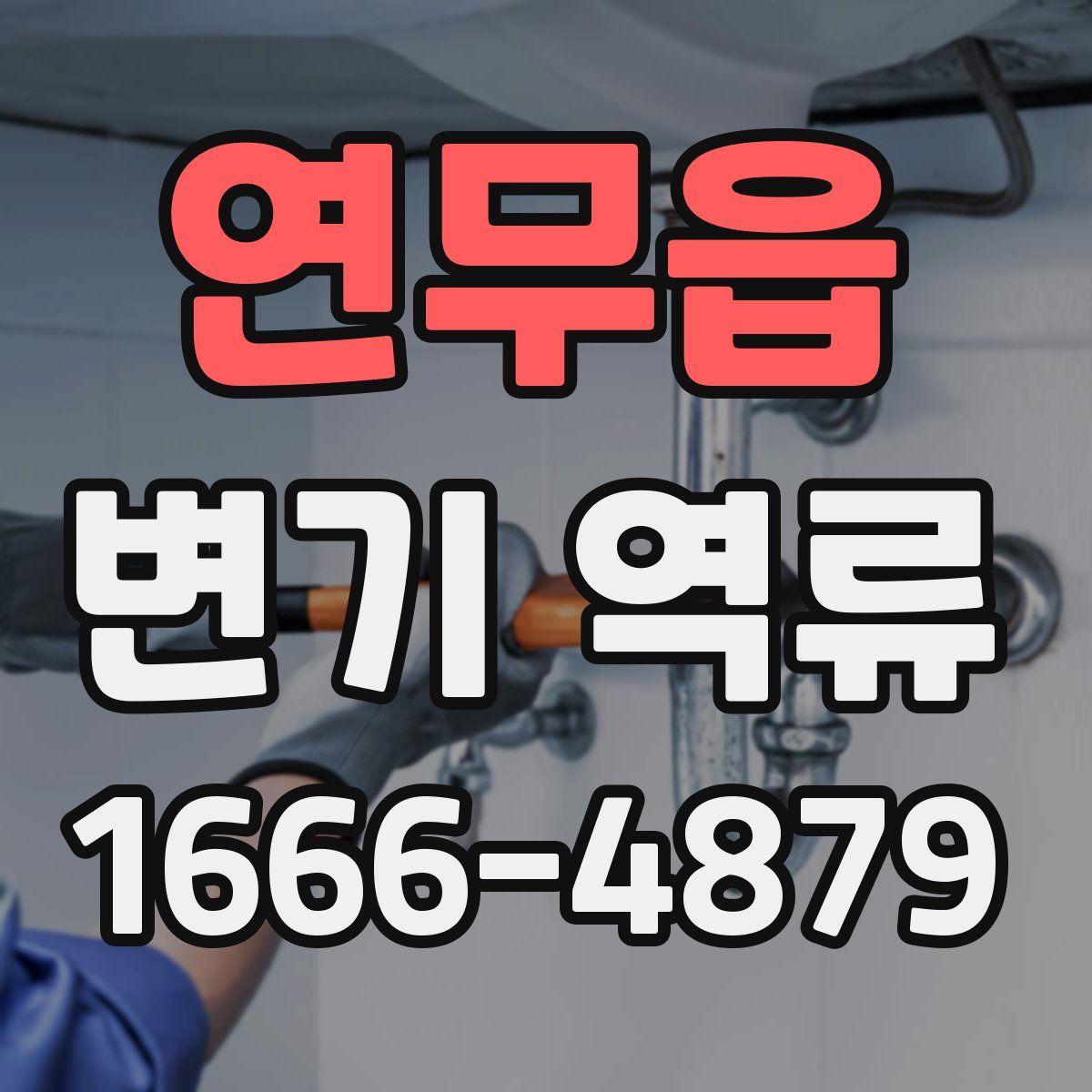 연무읍 변기 역류