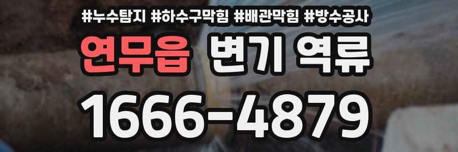 연무읍 변기 역류