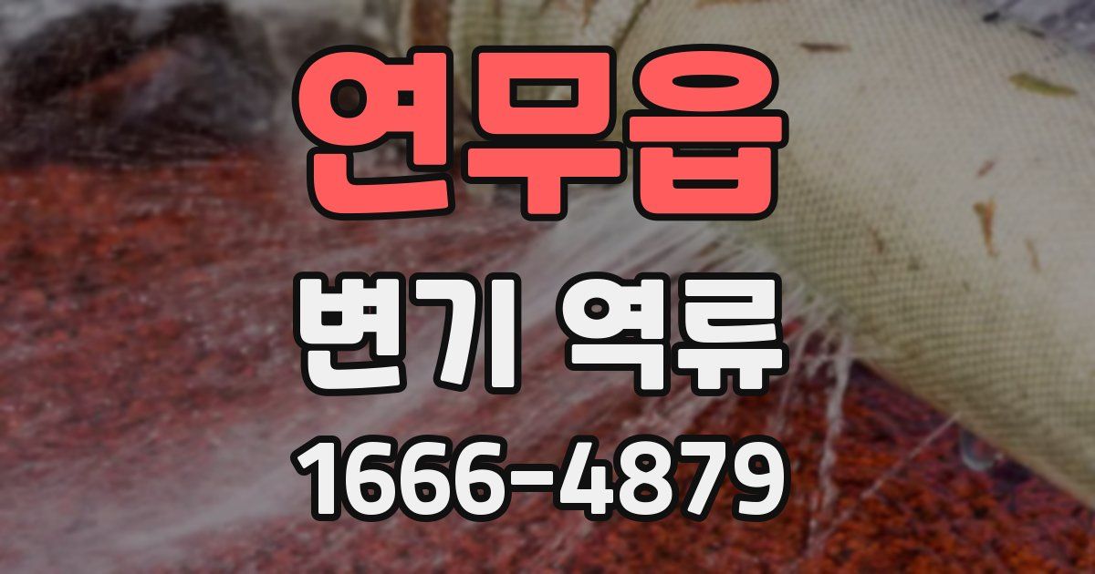 연무읍 변기 역류