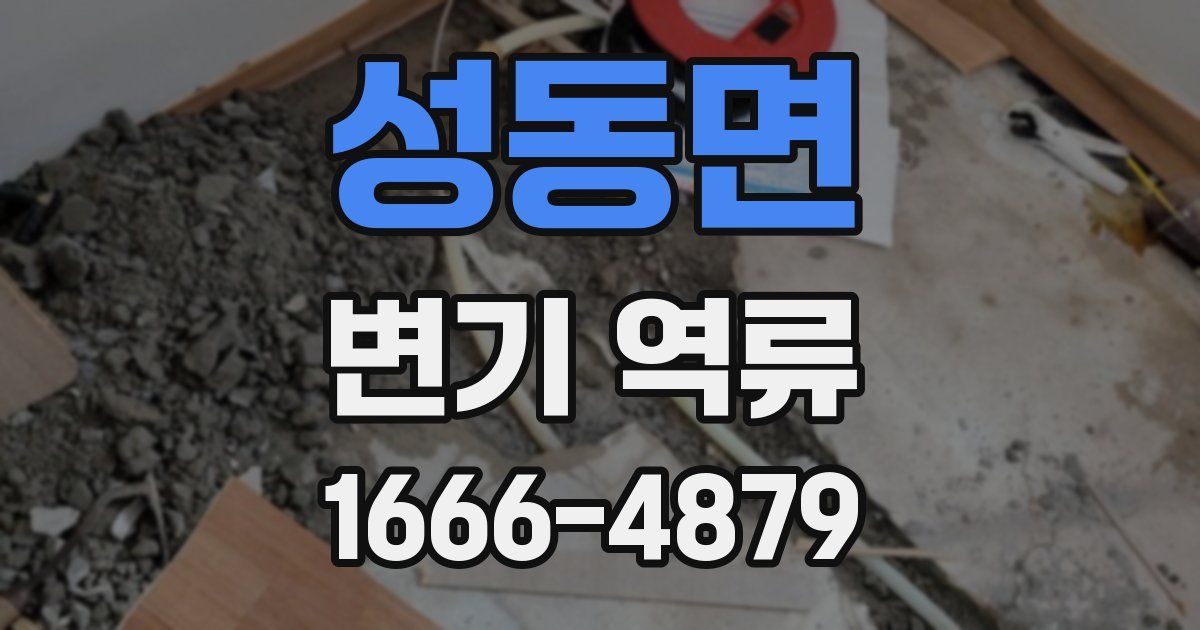 성동면 변기 역류