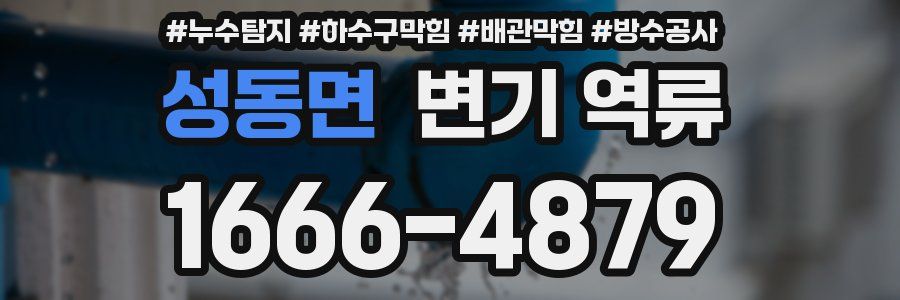 성동면 변기 역류