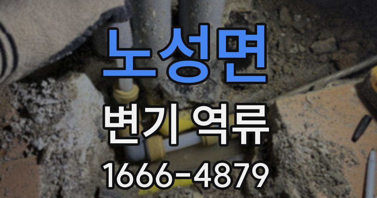 노성면 변기 역류