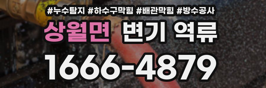 상월면 변기 역류