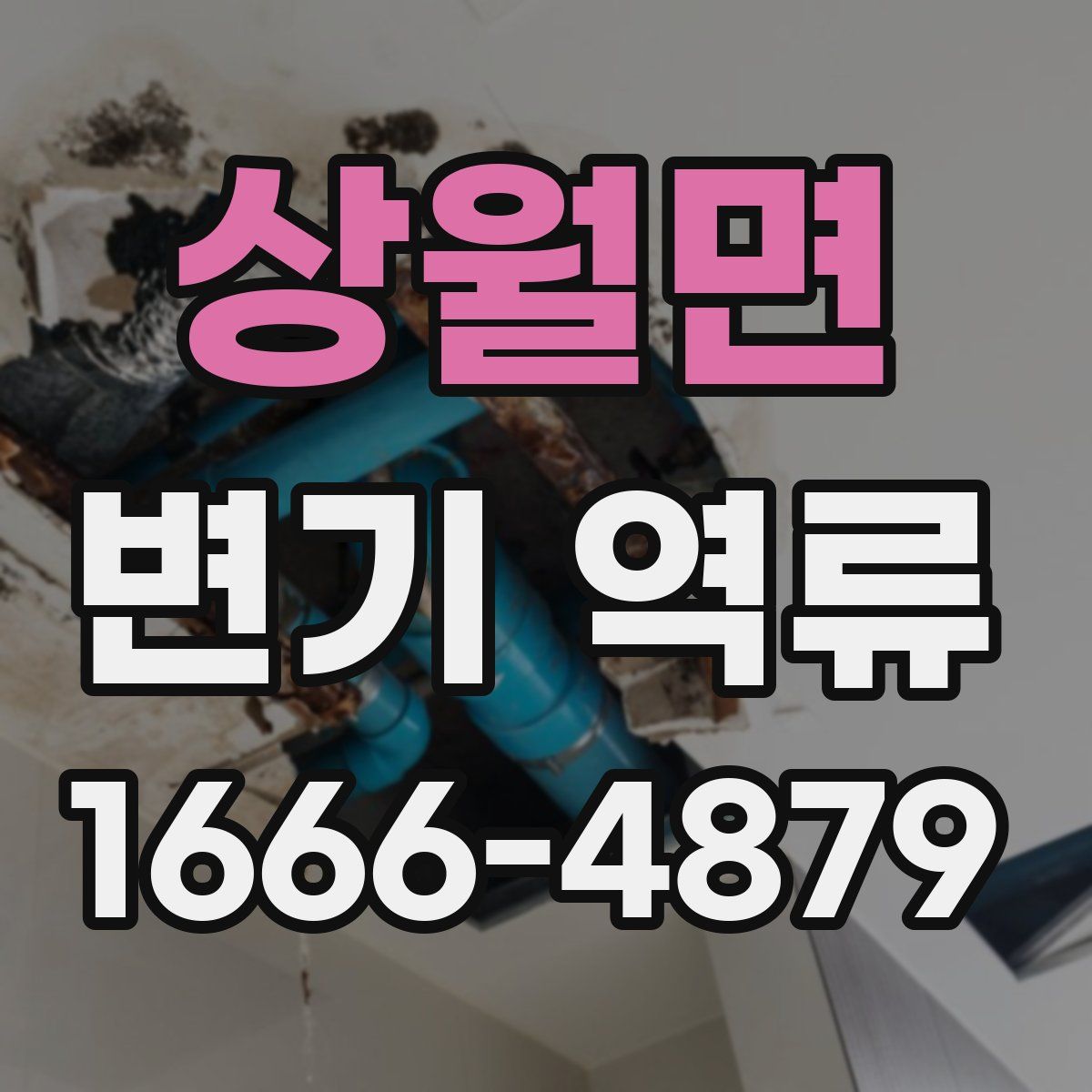상월면 변기 역류