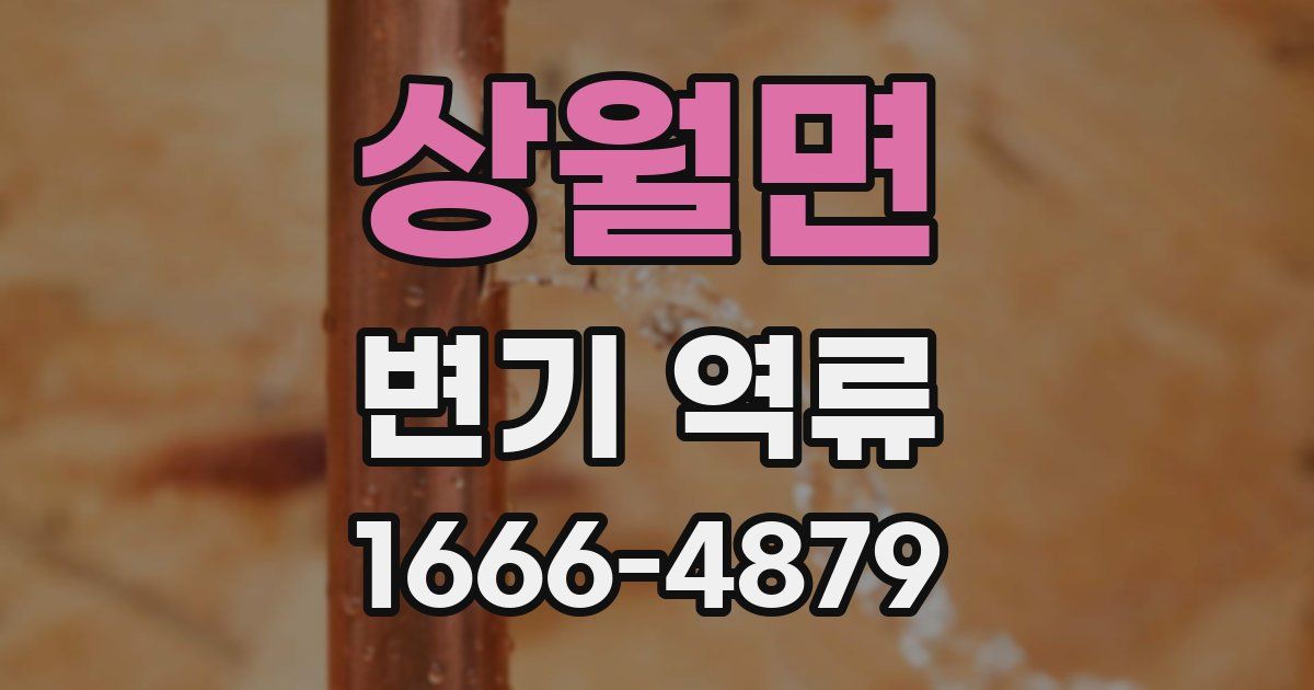상월면 변기 역류
