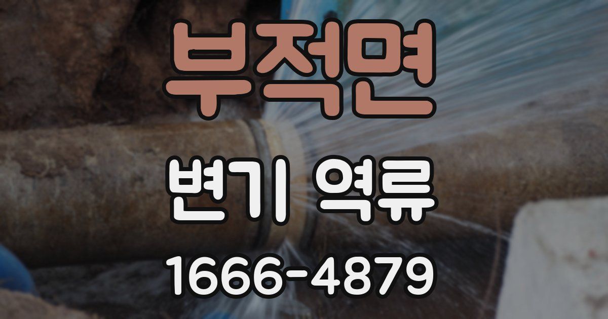 부적면 변기 역류
